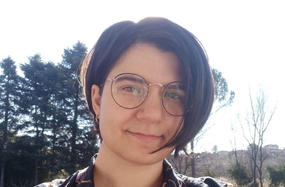 Immagine per Beltramini in Aula al posto di Kuzmin, scontro sul regolamento dehors